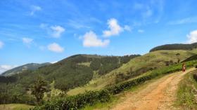 12 Morgen schönes Teeland zum Verkauf in Sri Lanka Central
