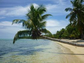Grundstück mit 100m Privatstrand - Coco Beach