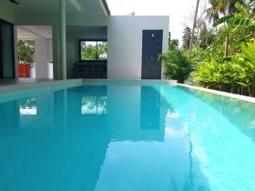 Zu verkaufen 2 Villen mit Pool in Namuang
