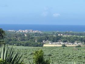 Flaches Land zum Verkauf neben Vipingo Ridge