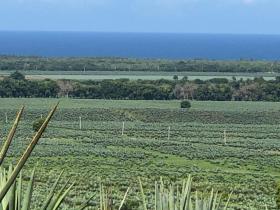 Flaches Land zum Verkauf neben Vipingo Ridge