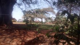 Große kommerzielle Kaffeefarm zum Verkauf in der Nähe der Stadt Kiambu