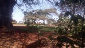 Große kommerzielle Kaffeefarm zum Verkauf in der Nähe der Stadt Kiambu