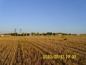 Land mit Familienfarm zum Verkauf in Konya