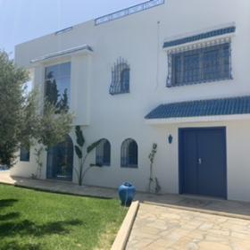 Villa inmitten von Olivenbäumen mit Meerblick