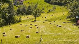 Gepflegtes Grundstück mit zwei Häusern - Montenegro Wälder
