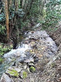 Das Paradies Bauernhof 10000 m2 in ganzen Länge dem Fluss Rio Ribeira do Neto