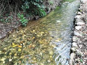 Das Paradies Bauernhof 10000 m2 in ganzen Länge dem Fluss Rio Ribeira do Neto