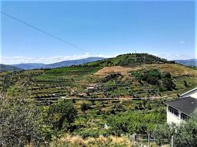 Das Paradies Bauernhof 10000 m2 in ganzen Länge dem Fluss Rio Ribeira do Neto