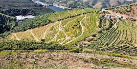 Einzigartiger Bauernhof, Alto Douro Vinhateiro, Parada do Bispo 115.206 m2