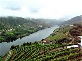 Einzigartiger Bauernhof, Alto Douro Vinhateiro, Parada do Bispo 115.206 m2