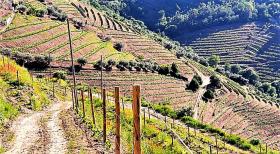 Einzigartiger Bauernhof, Alto Douro Vinhateiro, Parada do Bispo 115.206 m2