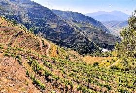 Einzigartiger Bauernhof, Alto Douro Vinhateiro, Parada do Bispo 115.206 m2