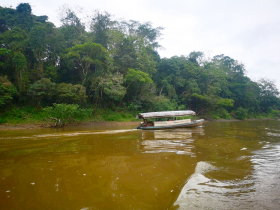 Exquisites Grundstück zum Verkauf im Wald von Iquitos in der Nähe des Flughafens