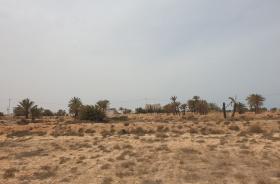 Baugrundstück mit Meerblick auf der Insel Djerba