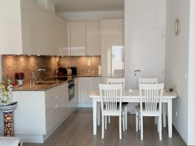 Neubau Penthouse-Wohnung
