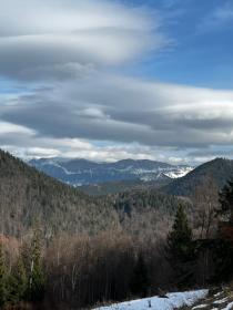 Grundstück 30000 m2 + Waldgebiet 20000 m2