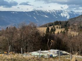 Grundstück 30000 m2 + Waldgebiet 20000 m2