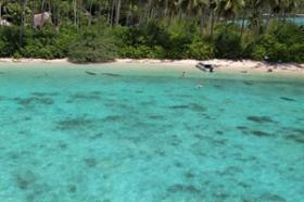 Doppelte Strandfront, bestehende Kokosnussplantage, erstaunliche Landzunge mit saisonalem Wasserfall