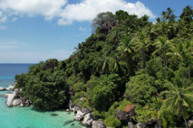 Doppelte Strandfront, bestehende Kokosnussplantage, erstaunliche Landzunge mit saisonalem Wasserfall