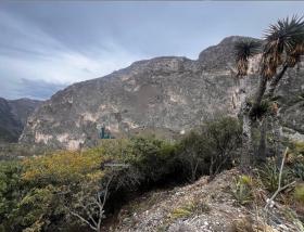 Landgrundstück zum Verkauf in El Jonuco
