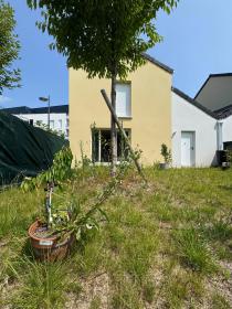 3-Zimmer-Haus - gute Lage