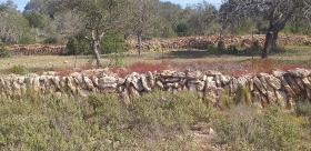 Paradiesisches Landhaus auf Ibiza