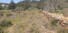 Paradiesisches Landhaus auf Ibiza