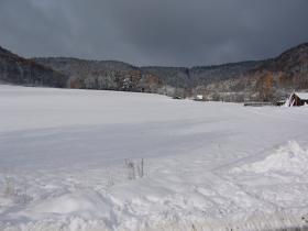 Einfamilienhaus auf dem Land