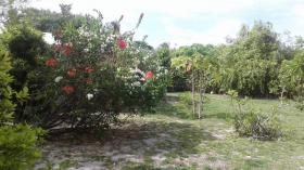 Haus in Rangiroa Französisch-Polynesien