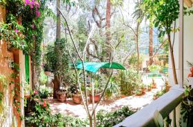 Immobilien im Herzen von Santa Cruz de Tenerife