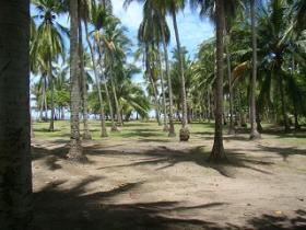 Land zu verkaufen - Abgeschiedener Strand und Meerblick