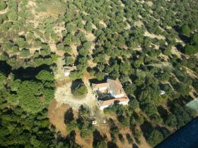 Andalusisches Bauernhaus mit 14 ha Korkeichenwiese
