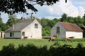 Verkaufe 72 Hektar Wald mit 2 Häusern, 1 Sattelkammer, 2 Hangars und 8 Pferdeboxen