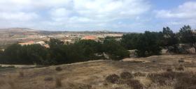 Vendo terreno de 890 m2 en la isla de Porto Santo