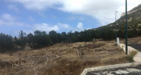 Vendo terreno de 890 m2 en la isla de Porto Santo
