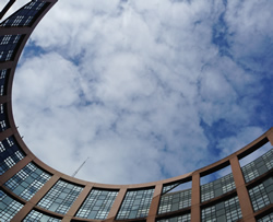 Immobilienmarketing und Werbung